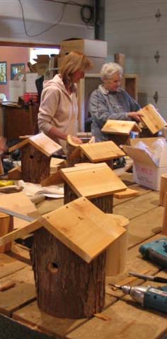 bird house building